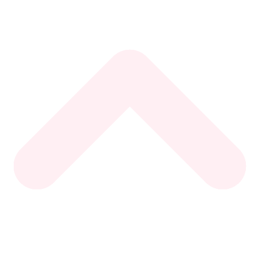 Icone fléche haut de page